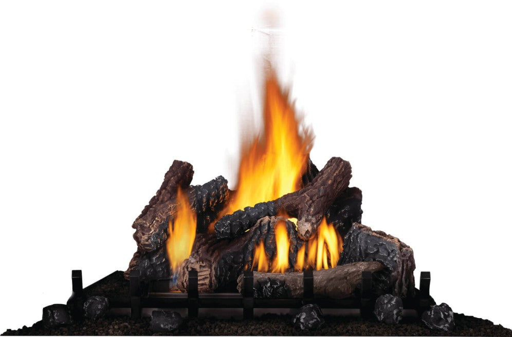 Napoleon Riverside 42 Clean Face Outdoor Fireplace GSS42CFN